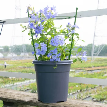 HORÚCE Popínavé Rastliny Podporu Klietky Kvety Stojan s 3 Nastaviteľnými Krúžky Robustný pre Záhradné NDS