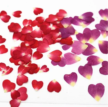 100ks Stlačené Sušené Srdca Tvare Okvetné Lístky ruží Kvetu Rastlín Herbarium Pre Šperky Pohľadnicu, Pozvanie na Kartu Telefón Prípade urob si sám
