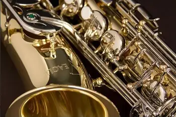 Pôvodné Saxofón Alto Eagle Značky SA 501 Zlato Lakované Sax v Eb Tune + Príslušenstvo prípade, rukavice, trstina, popruhy