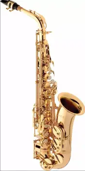 Pôvodné Saxofón Alto Eagle Značky SA 501 Zlato Lakované Sax v Eb Tune + Príslušenstvo prípade, rukavice, trstina, popruhy