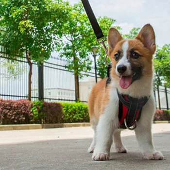 Pes Postroj s Vodítku Pet Nastaviteľné Chôdza Postroj Pre Malé a Stredne Veľké Psy Pet Pásov Viesť Zadržiavací Popruh Pet Produkt