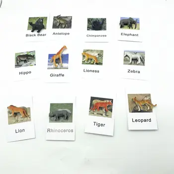 Montessori Zvierat Uzavreté Hračka Predškolského Vzdelávania Hračky Batoľa 4-8 Rokov