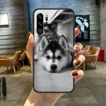 Sibírsky Husky, Pes v Pohode Roztomilý Telefón Prípade Kryt Na Huawei P Mate Smart 10 20 30 40 Lite Z Roku 2019 Pro Black Black Coque Tpu