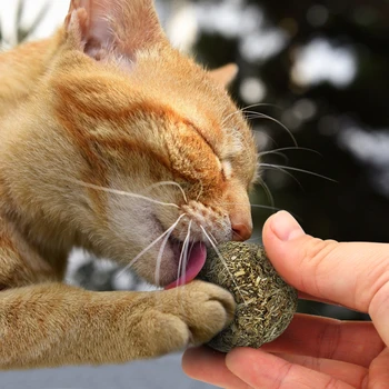 Pet Mačka Prírodné Catnip Liečbu Loptu Prospech Domov Naháňa Hračky Zdravé, Bezpečné Jedlé Liečbe
