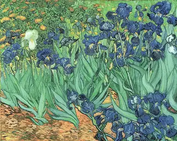 Irises olejomaľba Kvety Vincent Van Gogh Slávny obraz Reprodukciu, Pre Domáce Dekorácie dropshipping je vítaný