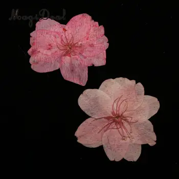 MagiDeal 10pcs Zmiešané Farby Stlačené Sušené Sakura Kvety Cherry Blossom Umelecké Remeslo Sušených Kvetov, raft pre Dom Dekorácie