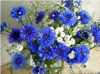 5D DIY Diamond mozaiky plný diamond výšivky Biele a modré kvety vyšívané Cross Stitch Domáce dekorácie darček