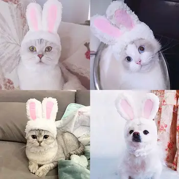 Pet Mačka Pes White Rabbit Ucho Hat Stojan-Eared Malý Biely Králik Malý Biely Medveď Tvarované Klobúk Roztomilé A Roztomilý Foto