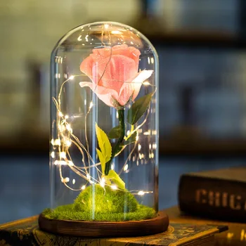USB LED Krásy Rose a Zviera Batérie Powered Červený Kvet String 2020 Valentína, Deň matiek Darčeky