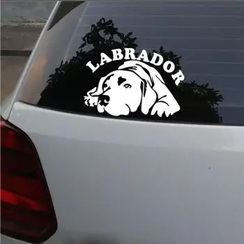 Zaujímavé Auto Nálepky Roztomilý Pes Labrador Auto Vozidla, Telo Kotúča, Motocykel Nepremokavé PVC 17 cm X 7 cm Príslušenstvo