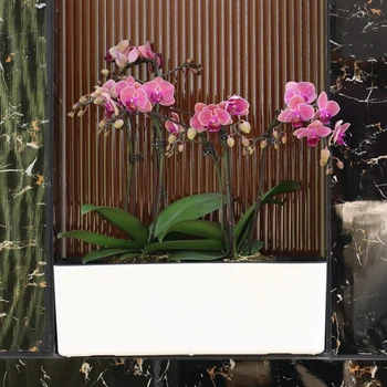 Jednoduchý Štýl Obdĺžnikový Self-zalievanie Kvetináč s Vodou Indikátor Úrovne Záhrada Domov Stôl Dekor