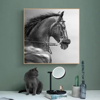 Zviera Plátno Maľovaní Plagátov a Vytlačí Kôň Obrazy Frameless Wall art Obrázok pre Obývacia Izba