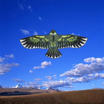1.2 m Ploché Eagle Kite Deti Lietajúci Vták Drakov Windsock Vonkajšie Hračky, Záhrada Látkové Hračky Pre Deti Darček