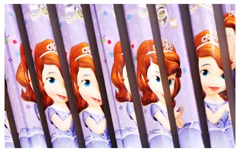 30 KS deti cartoon ceruzky guma Disney Mrazené Elsa Mickey Sofia HB ceruzka šetrné k životnému prostrediu a netoxické