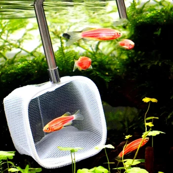 Malé Ryby, Kaviár Vysokokvalitné Odolné Nerezovej Ocele Pet Dodanie Rozšíriteľný 3D Akvárium Krevety, Ryby Čistý Nádrž Chytiť Rukoväť Net
