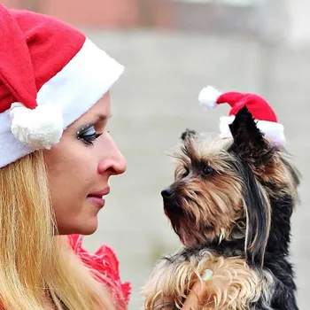 Nové Vianočné Ozdoby pre 2019 Rokov Pet Vianočné Hat Psa Hat Klobúk Plyšové