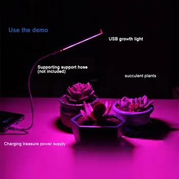 LED Rásť Svetlo 2,5 W/14LED 4.8 W/27 USB Red & Blue Hydroponické Pestovanie Rastlín Svetlo Bar na Ploche Rastlina, Kvet Rastúci DC 5V