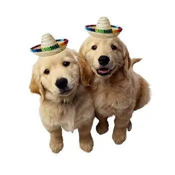 Bláznivej Noci Prírodnej Slamy Mini Sombrero/Nový Dizajn Mini Mexican Hat,Fiesta Party, Narodeniny, Party Dekorácie Cinco de Mayo Strany