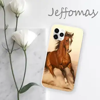 Frederik Veľký krásy kôň Telefón Prípade Transparentné pre iPhone 11 12 mini pro XS MAX 8 7 6 6 Plus X 5S SE 2020 XR