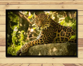 Jaguar Silný A Rýchly Pôdy Zvierat (41) Nástenné Plagáty Vytlačí Hodváb Umelecká Maľba Na Steny Domov Spálňa Decor