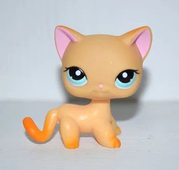 Pet Shop Modré Oči Žltá Oranžová Krátke Vlasy Mačka Kitty Obrázok Dieťa Hračku