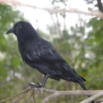 6x New Black Pernatej Vrany Vták Havrany Rekvizity Dekorácie Halloween