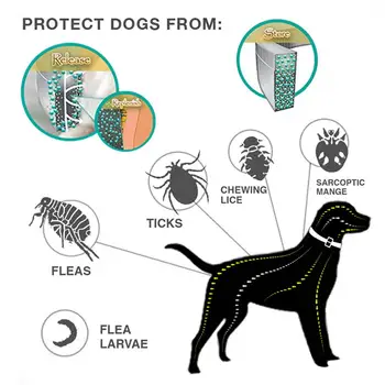 Nový Anti Pet Komárov Kliešť Obojok Pre Psov A Mačky, 8 Mesiac Anti Velká Golier, Nastaviteľné Silikónové Umývateľný Pes Príslušenstvo