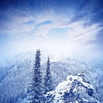 Mehofoto Zimné Zobraziť Fotografiu na Pozadí Biely Sneh Kulisu pre Fotografovanie Stánku Studio Lesa HG-486
