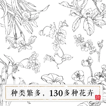 Tradičná Čínska Realistické Maľby Kniha Čínsky Vtáky a Kvety Gongbi Kreslenie Technika Knihy