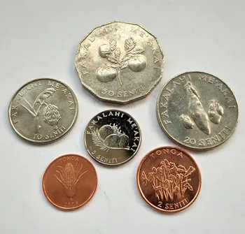 Tonga 1 Sada 6 Kusov Mincí Staré Pôvodné Mince Zberateľské Vydanie Reálne Vzácne Pamätné Náhodné Rok