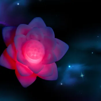 Romantický Lotosový Kvet Nočné Svetlo Farby Lotosový Kvet LED Nočné Svetlo Romantická Láska Náladu Lampa Domáce Dekorácie