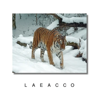 Laeacco Tiger, Leopard Plátno na Maľovanie Kaligrafie Wall Art Stenu Obrázok, Plagát, Tlač na Obývacia Izba Domáce Dekorácie Č Rám