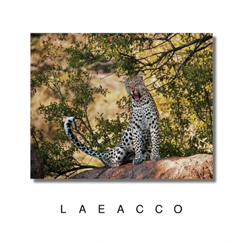 Laeacco Tiger, Leopard Plátno na Maľovanie Kaligrafie Wall Art Stenu Obrázok, Plagát, Tlač na Obývacia Izba Domáce Dekorácie Č Rám