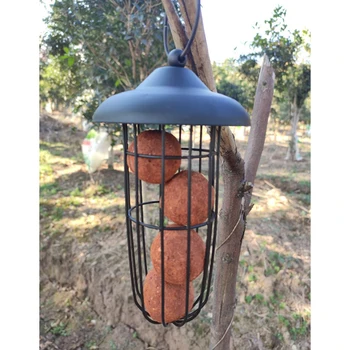 Voľne Žijúcich Feeder Veverička Dôkaz Outdoor Záhrada Tuk Lopta Potravín Stromu Visí Terasa