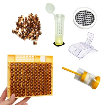 1 Nastavte Včelárskych Nástroj Queen Bee Chov Systém Kráľovná Klietky Značky Fľaša Ochranný Kryt Včelárskych Zariadení