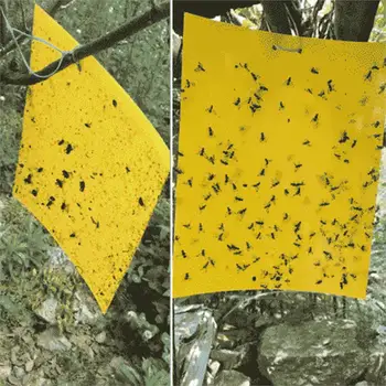 Nové 20PCS-Obojstranné Vložiť Hmyzu Rada Chybu Lietať Nálepky Lepiť Rada Lepidlo Pasce Žlté Lepkavé Hmyzu Catcher Bělokrkého