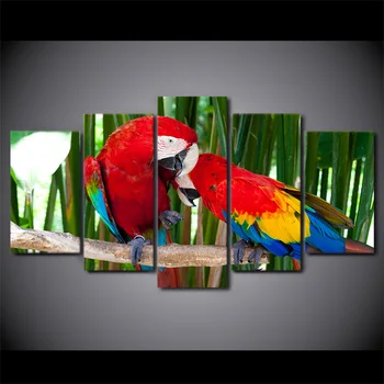 Home Decor Plátno HD Tlačené Obrazy Zarámované 5 Kusov Psittacidae Maľovanie Perie Farebné Vtáky, Zviera, Plagát Wall Art